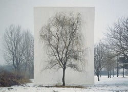 Myoung Ho Lee — Tree #3